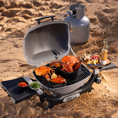 Weber Introduces the All-New Weber® Q™, Bringing Modern Versatility and  Ease to Create an Unforgettable Cooking Experience